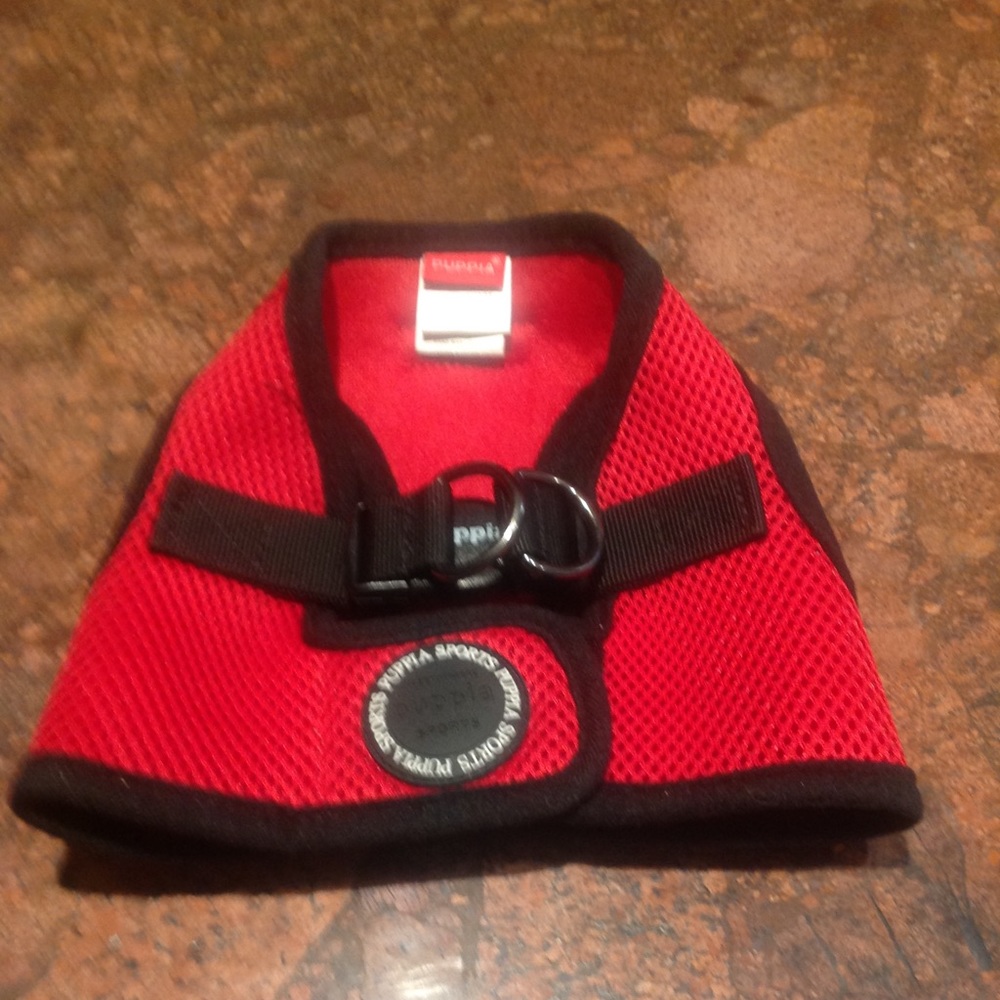 New doggie harness